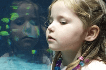 2023年农历四月十七出生的女孩大气婉约的名字 2023兔年宝宝女孩子取名字大全